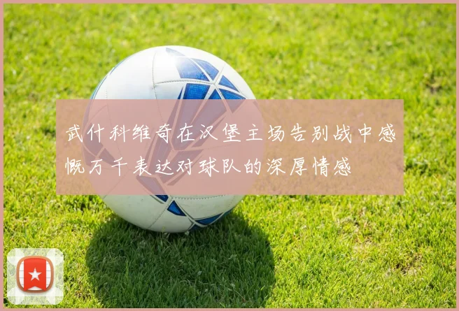 武什科维奇在汉堡主场告别战中感慨万千表达对球队的深厚情感